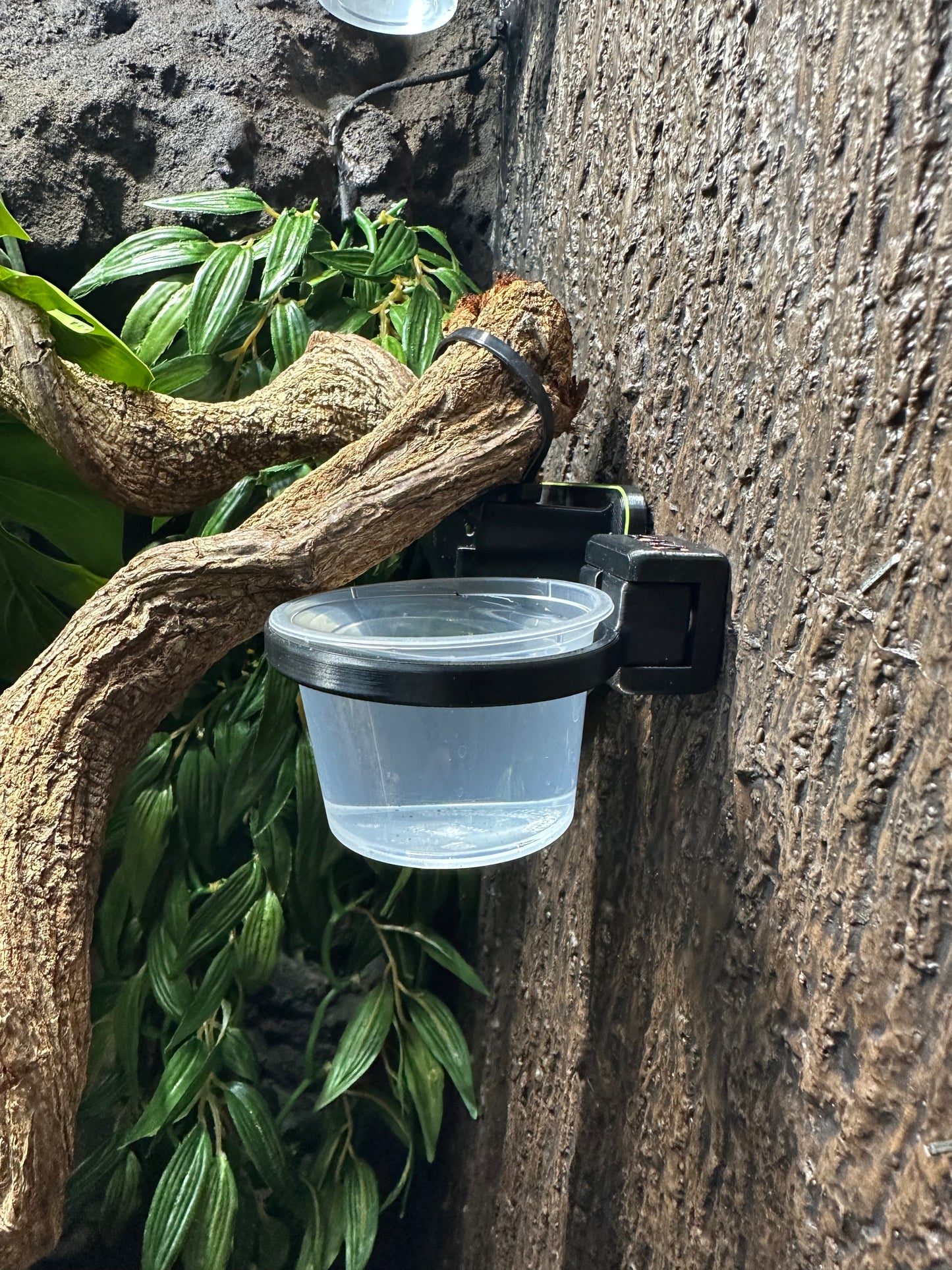 ENCLOSURE water/food dish