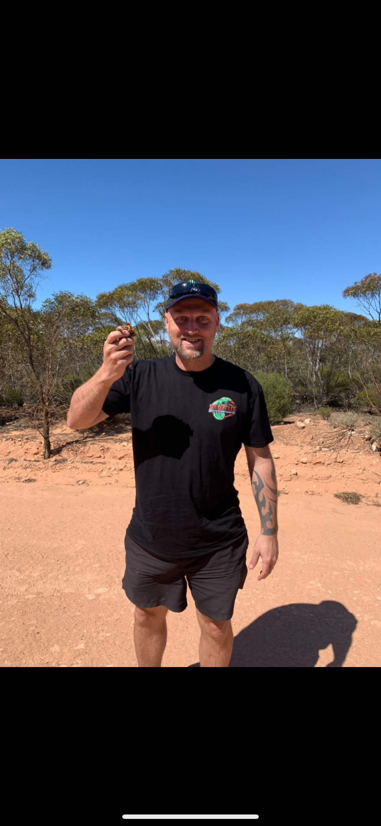SEQ Reptiles Tee shirt