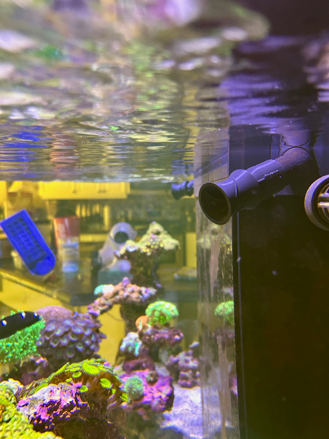 Flow Generator for Red Sea 425 G2+