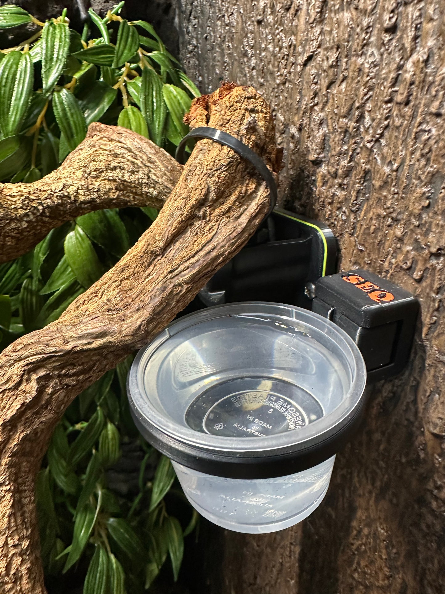 ENCLOSURE water/food dish