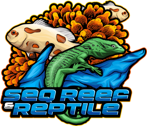 SEQ REPTILES & Custom PVC Enclosures 